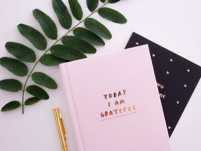 گلابی Moleskine نوٹ بک